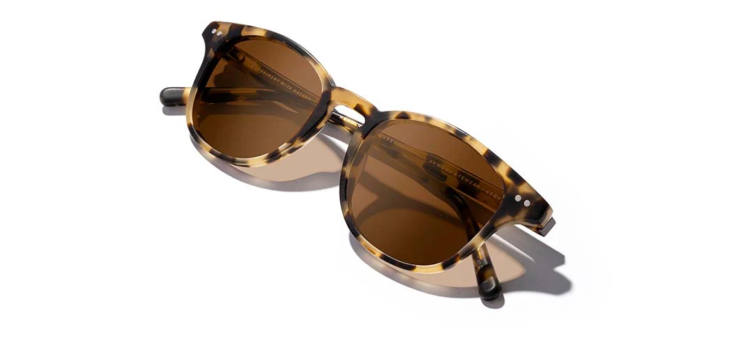Kennedy Acetate Sunglasses - Image 4