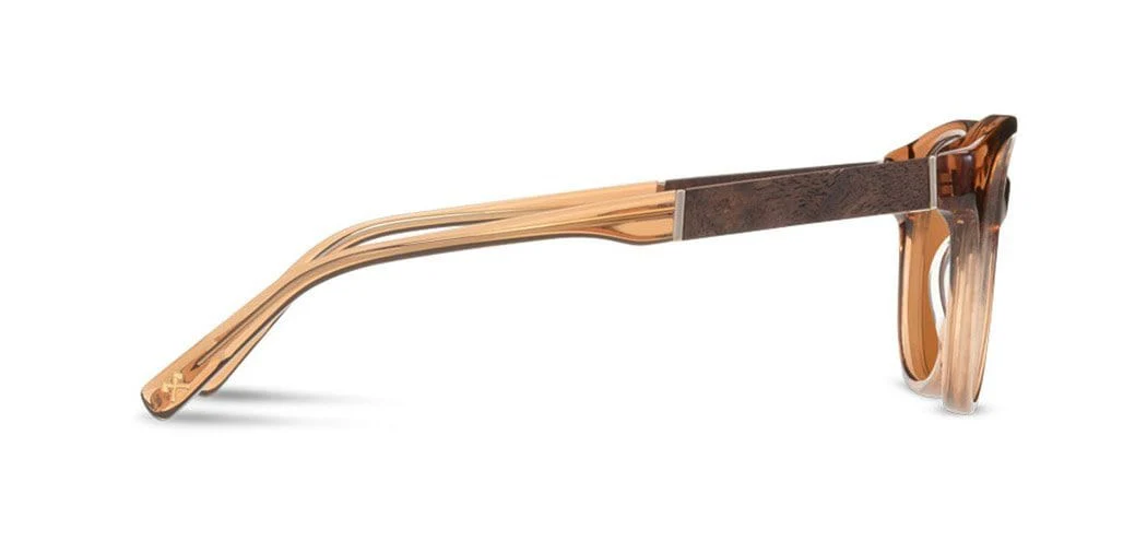 Madison Acetate Sunglasses - Image 16