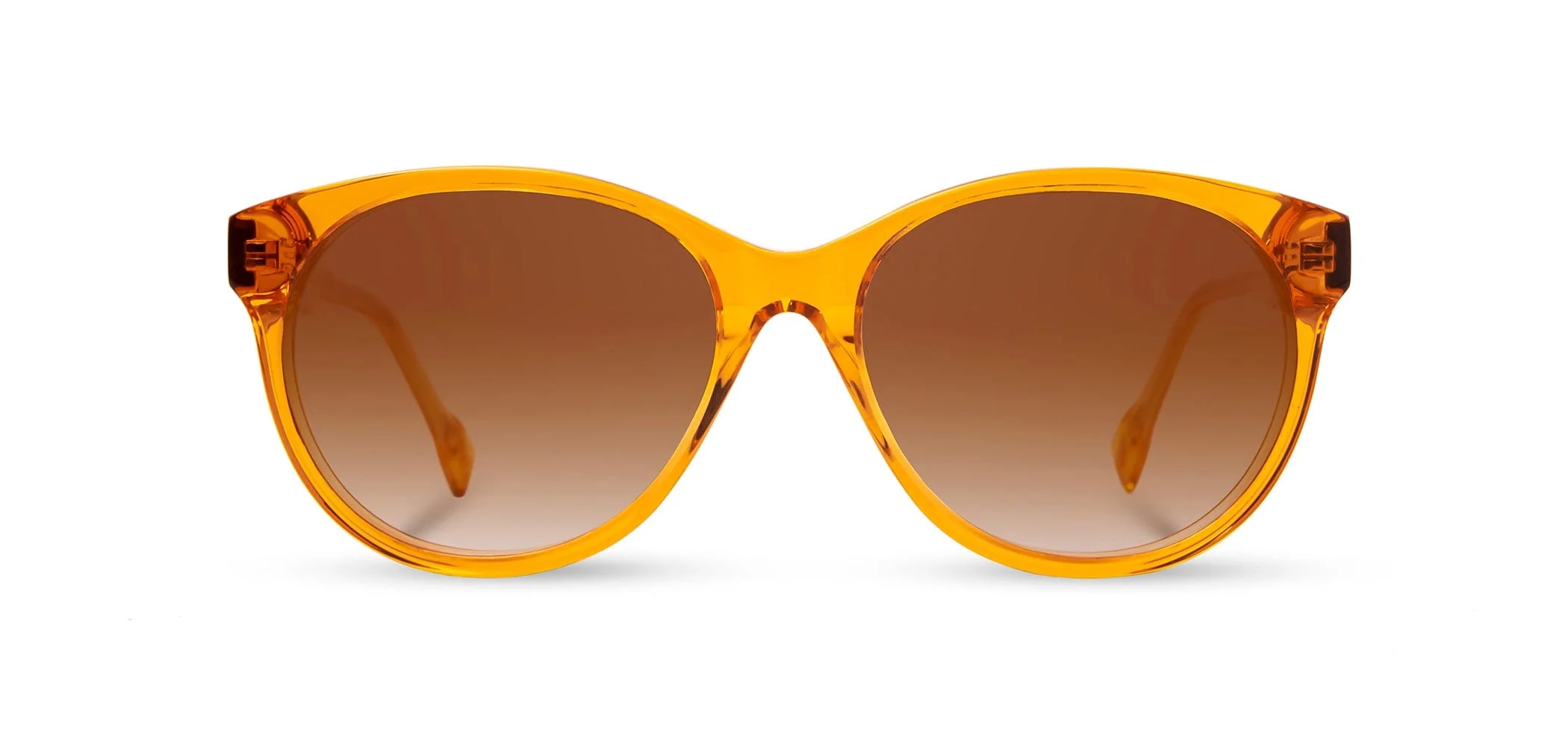 Madison Acetate Sunglasses - Image 27