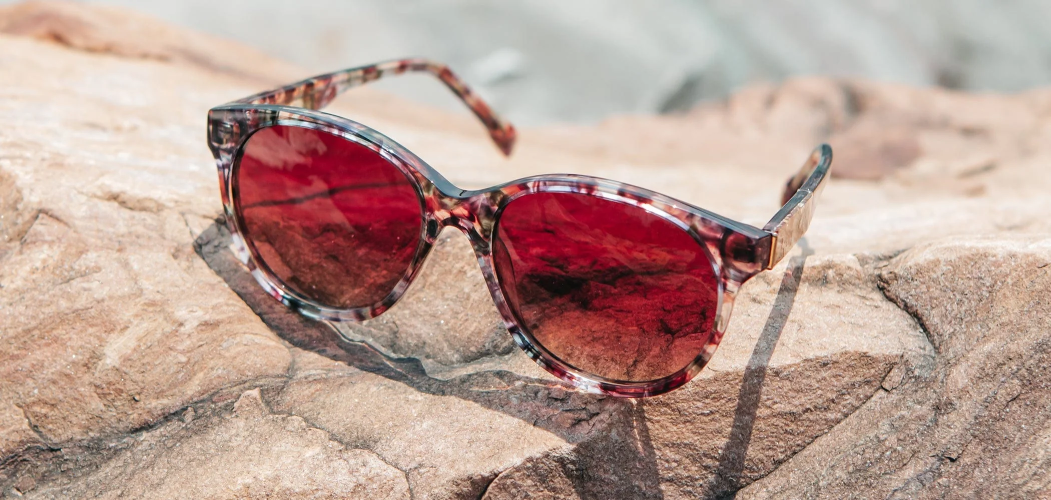 Madison Acetate Sunglasses - Image 34