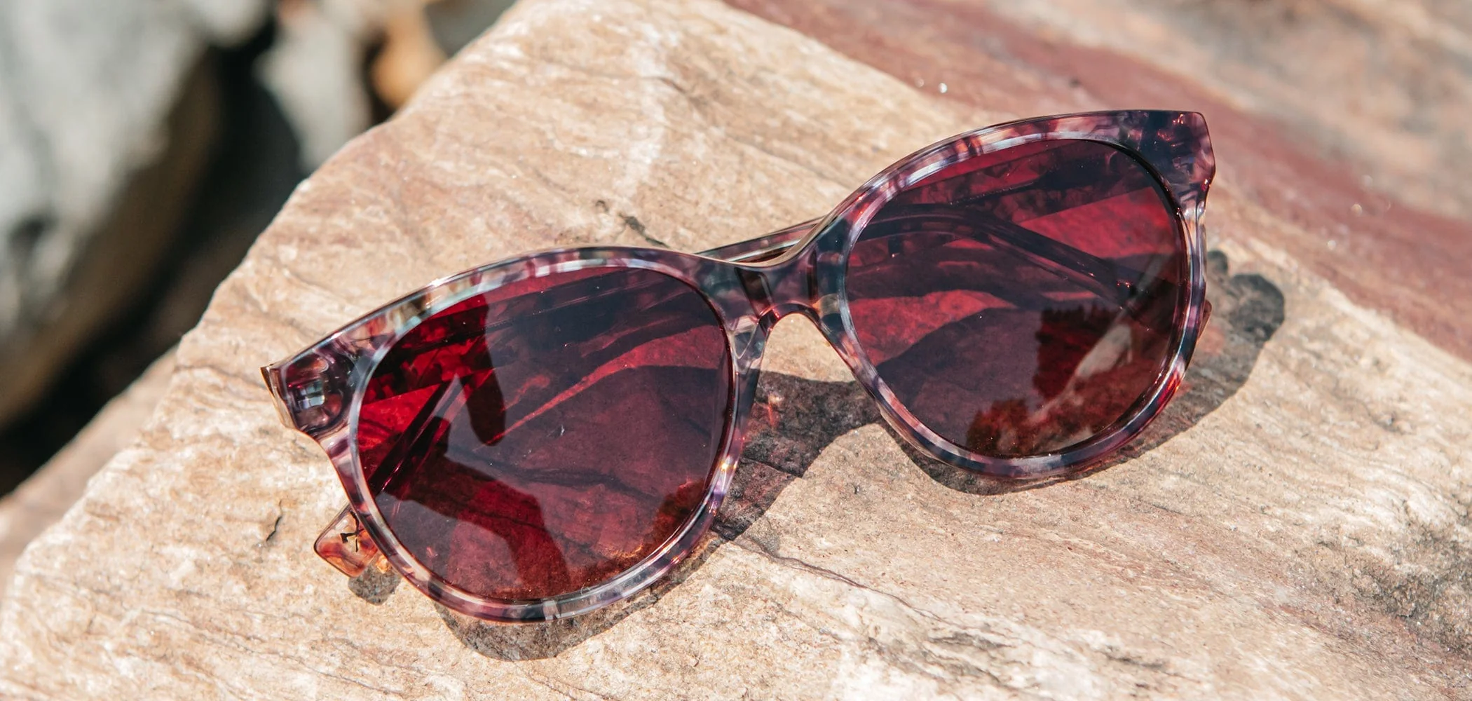 Madison Acetate Sunglasses - Image 35