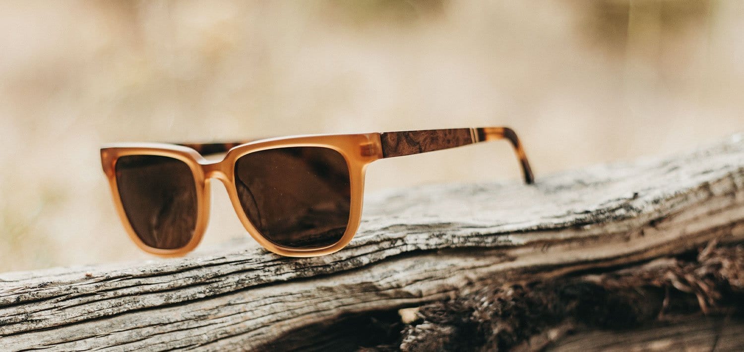 Prescott Acetate Sunglasses - Image 18