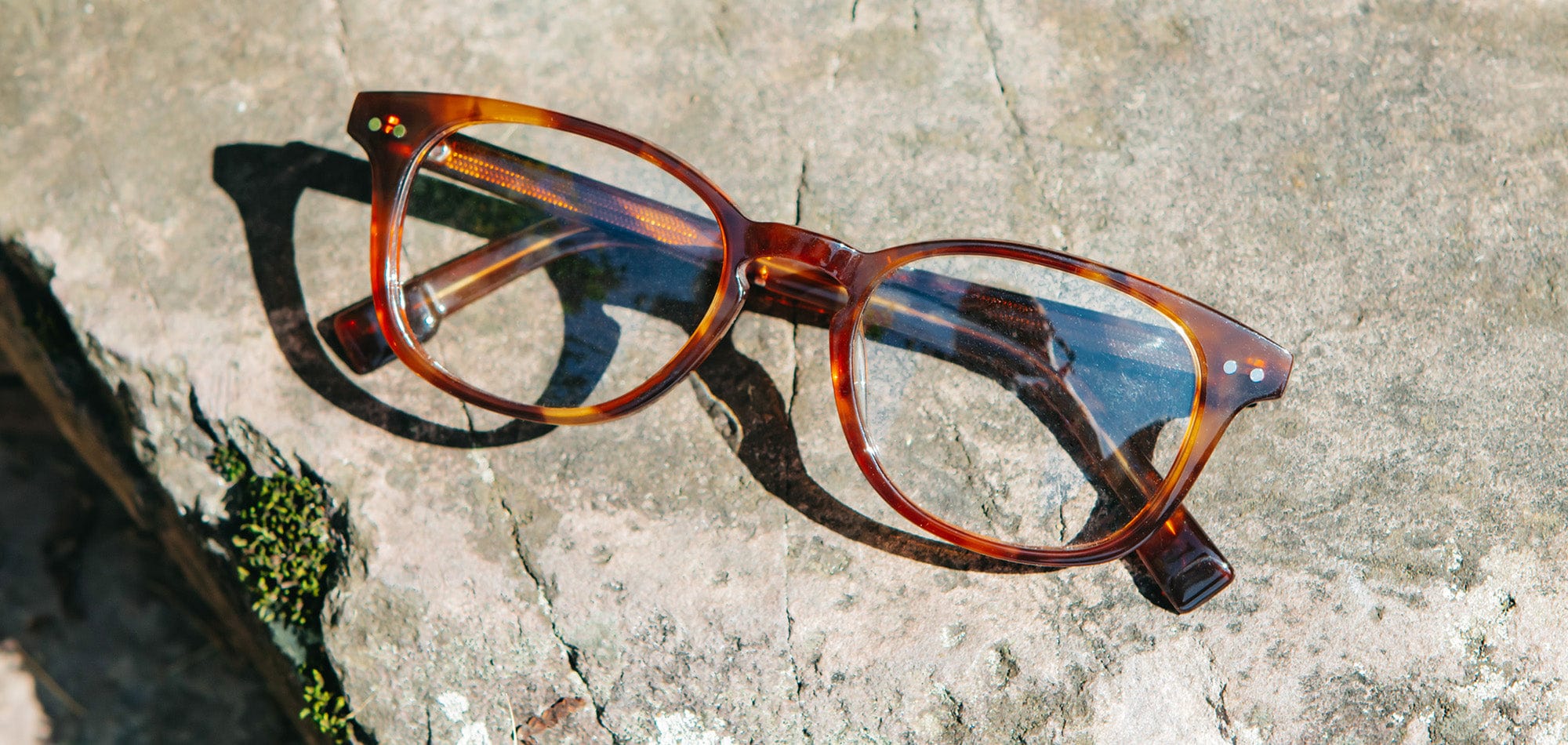 Quimby 50mm Acetate RX Eyeglasses - Image 6